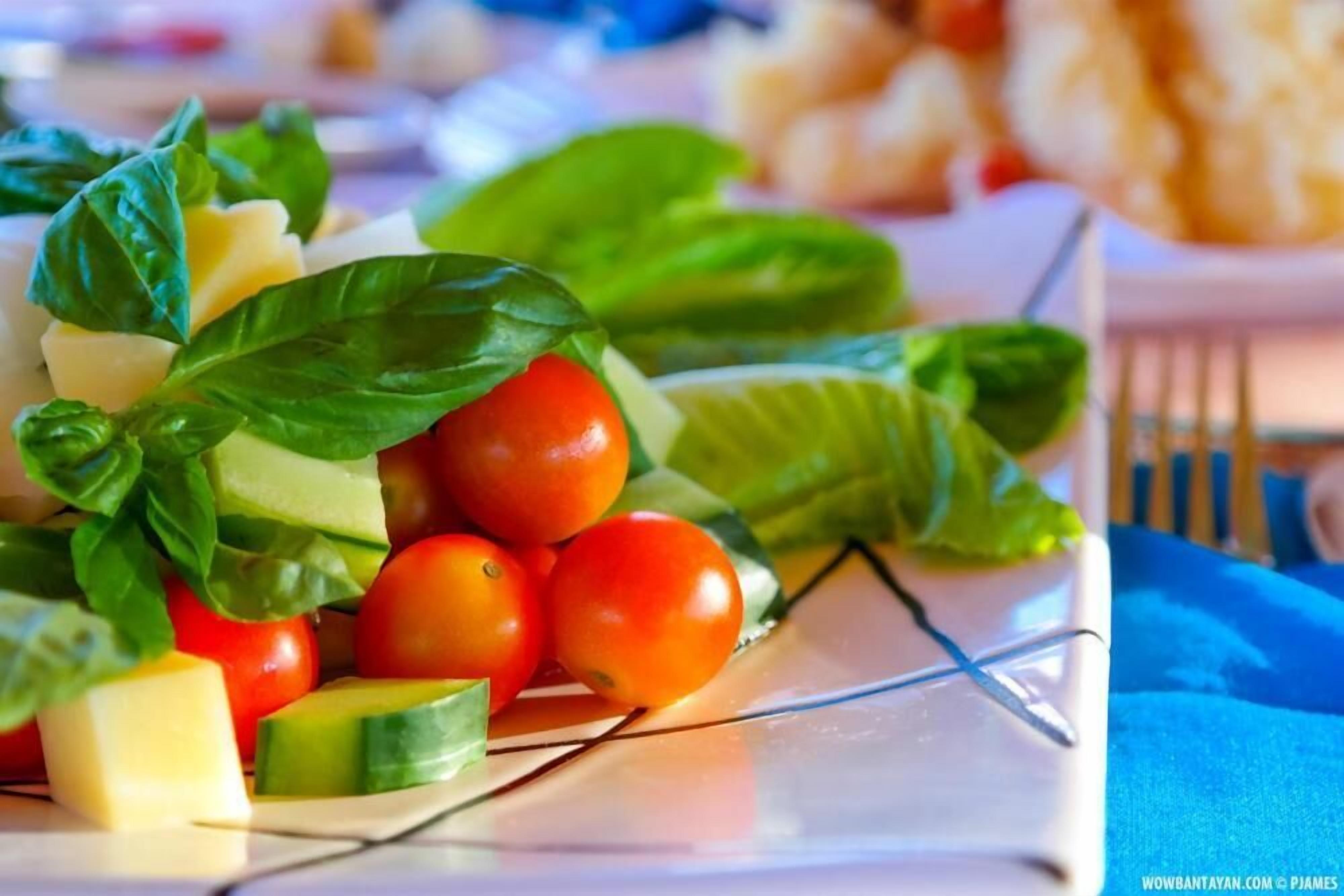 Un plato de verduras frescas, entre ellas tomates, pepinos y hojas de albahaca.