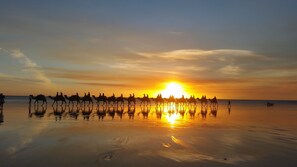 Beach nearby, white sand, beach volleyball