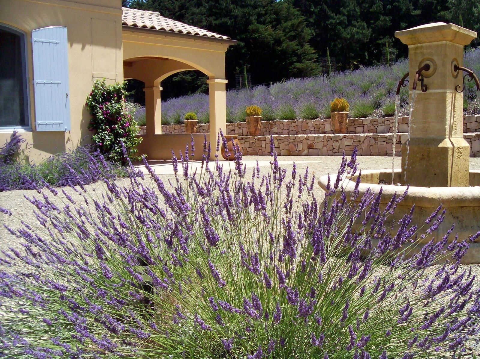 A building with a stone facade, a covered patio area, and a garden with lavender plants.