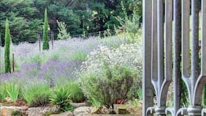 A garden with a gravel path, a stone planter with pink flowers, and a metal gate. - Casa Valeri (Warburton)