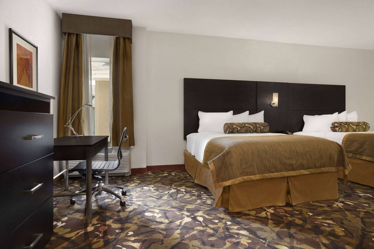Une chambre d’hôtel équipée d’un bureau, de deux lits, d’un grand miroir et d’une moquette à motifs.