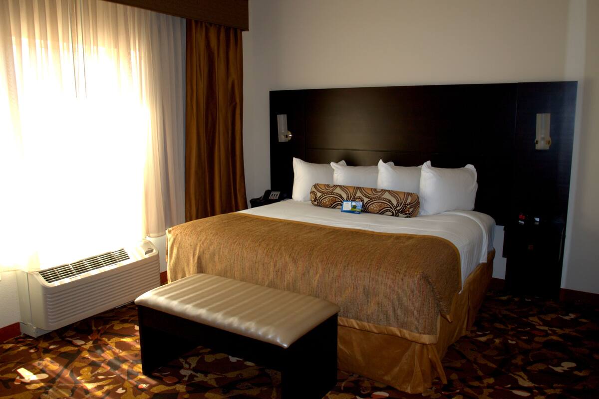 suite, 1 king bed with sofa bed, accessible, non smoking | desk, blackout curtains, iron/ironing board, cots/infant beds