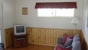 Un salón con pared de madera, alfombra roja, sofá gris con cojines rojos, televisor sobre un mueble de madera y una ventana con cortinilla roja.