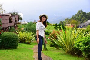Pemandangan taman
