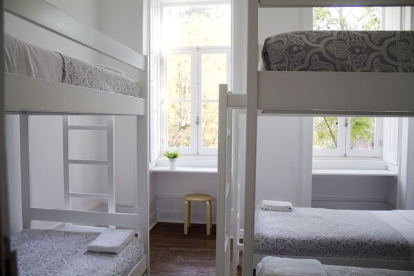 Bed in 6-Bed mixed Dormitory room | Premium bedding, cribs/infant beds, rollaway beds, free WiFi