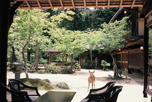 Jardí