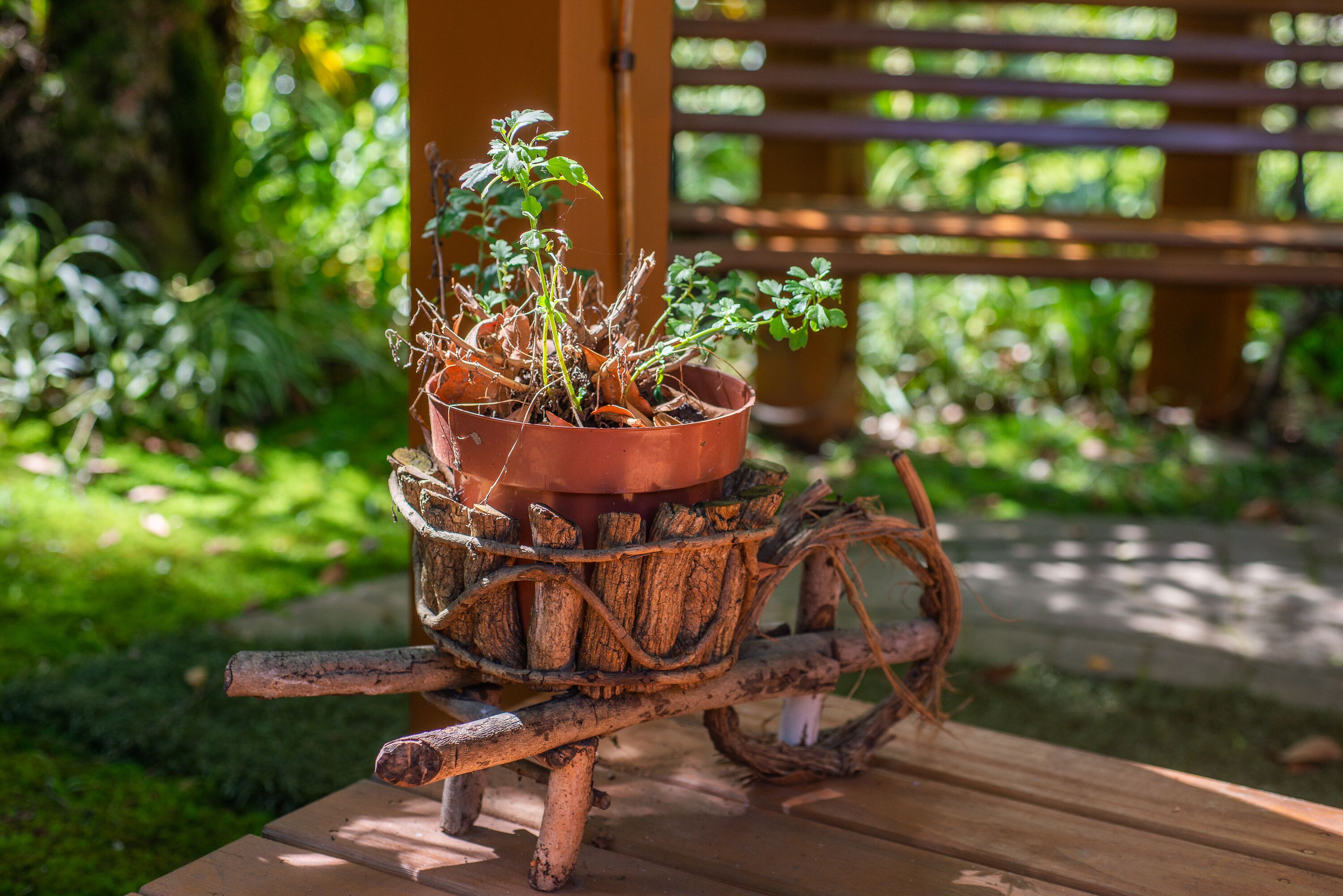 Photo - Pousada Monte Felice Recanto da Lua