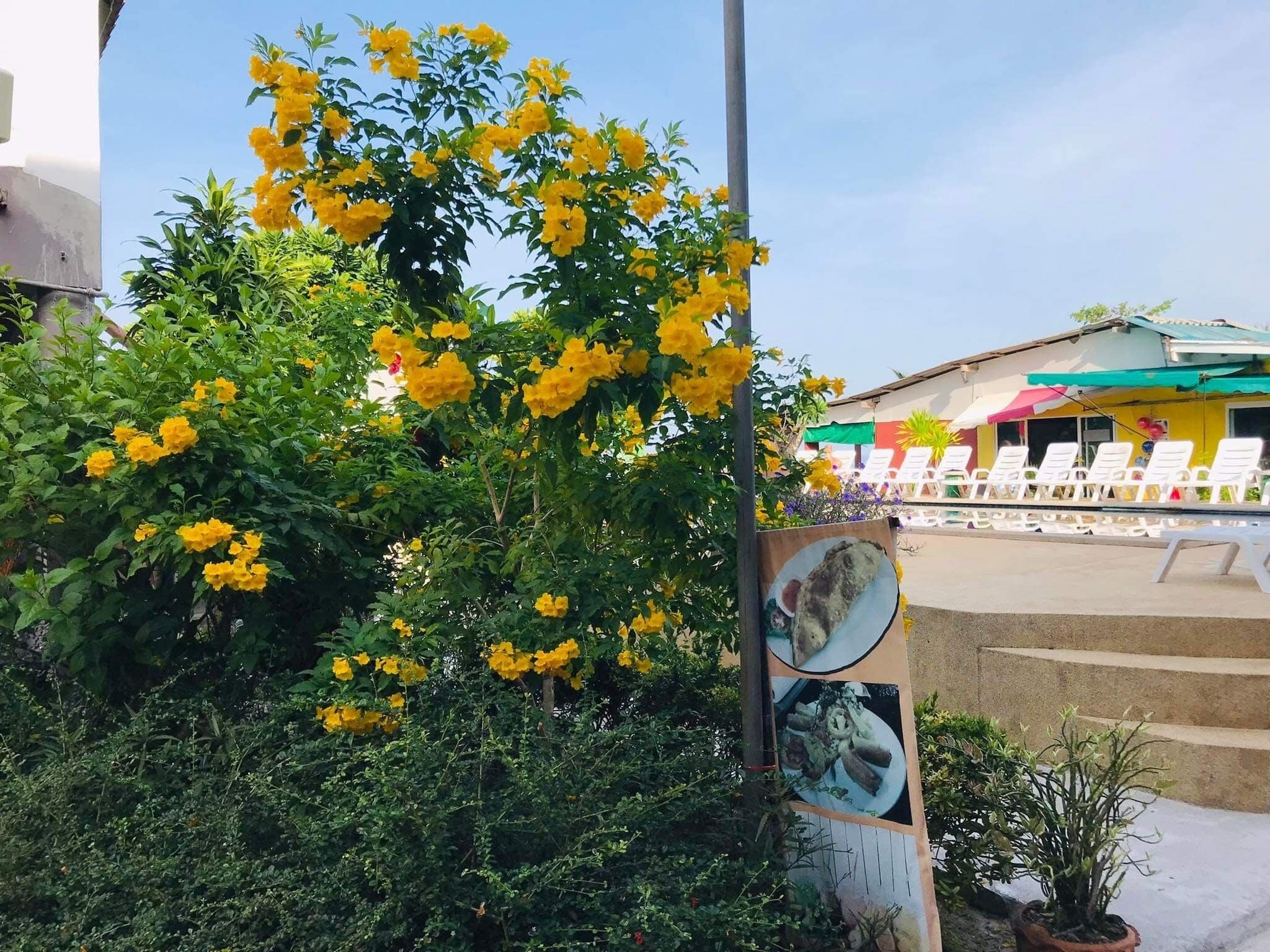 Foto - Lanta Garden Home