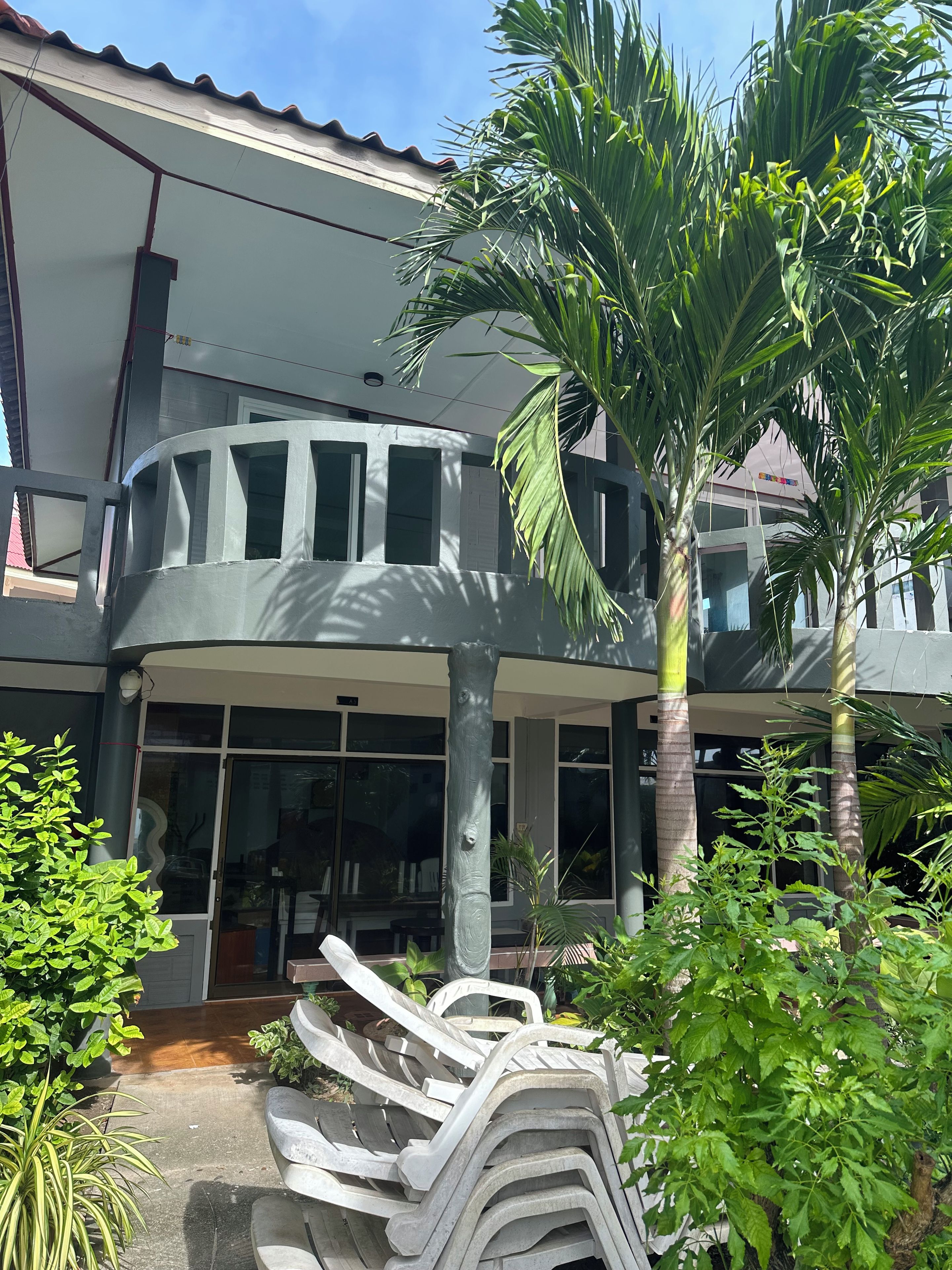 A building with a covered entrance, large windows, and a palm tree.
