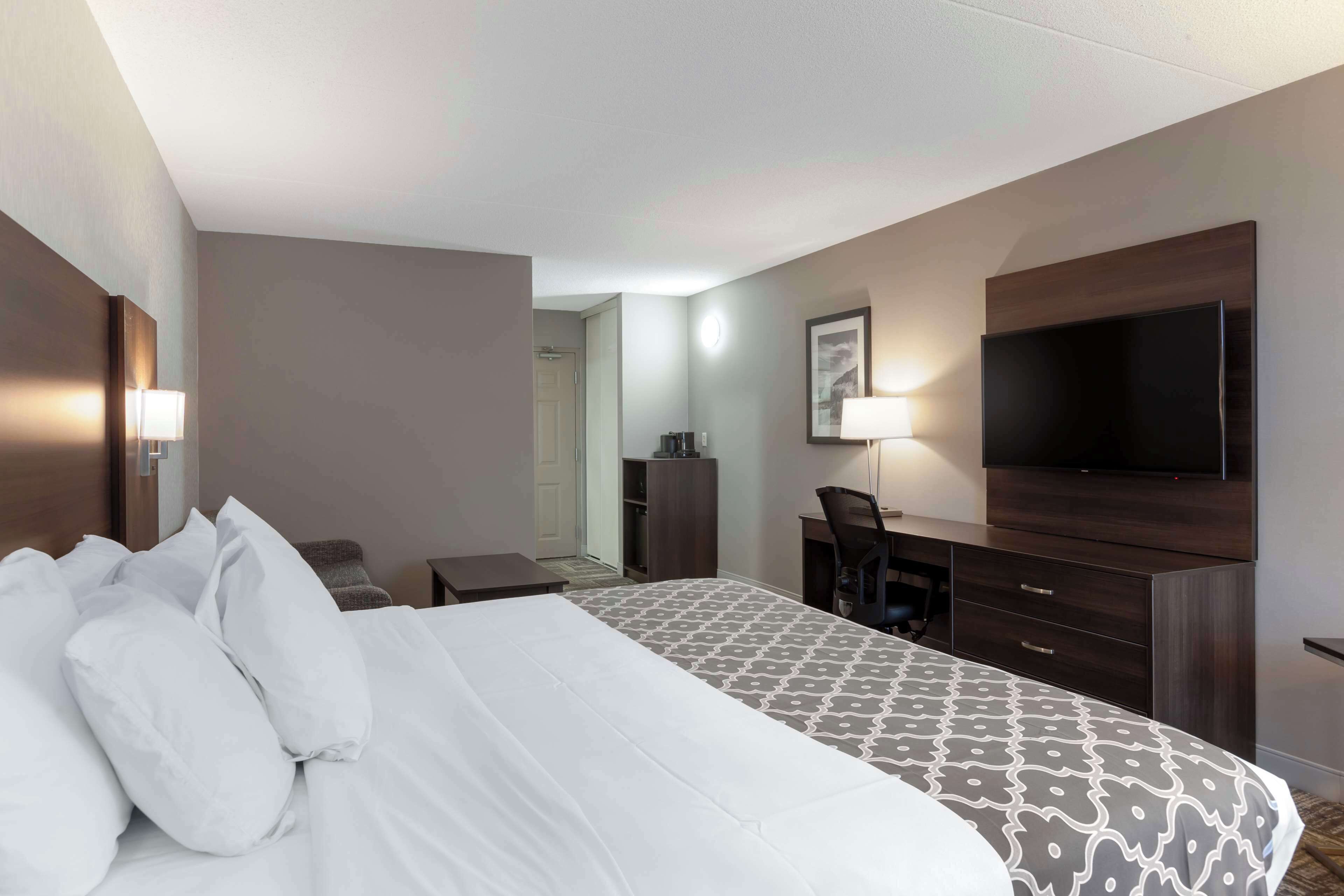 Habitación de hotel con una cama grande, un escritorio, una silla, un televisor y un armario.