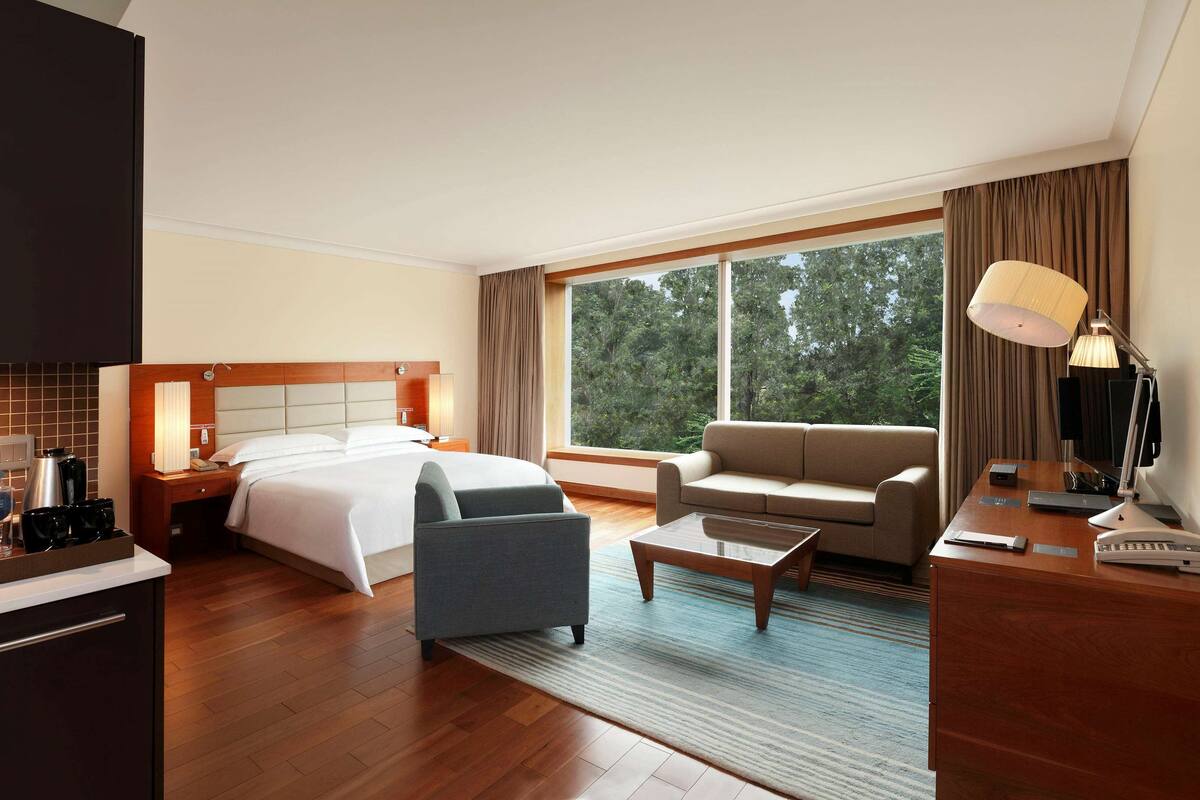 A hotel room with a bed, a sofa, a desk, and a large window with a view of trees.