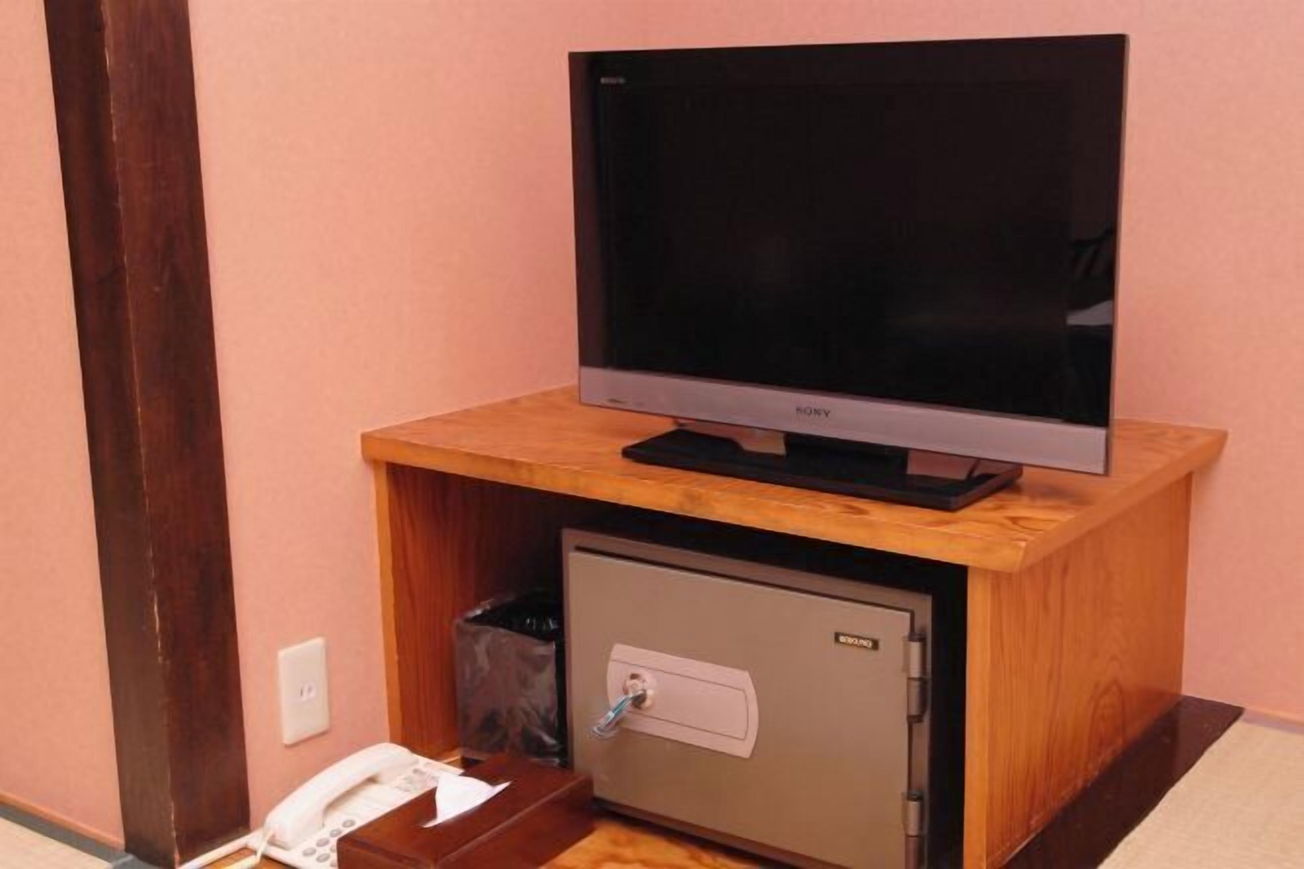Television