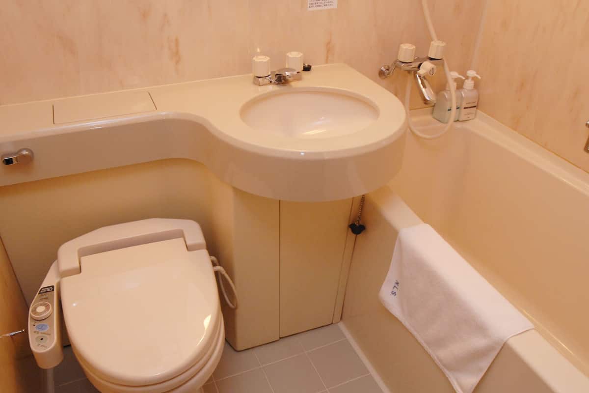 combined shower/bathtub, free toiletries, hair dryer, slippers