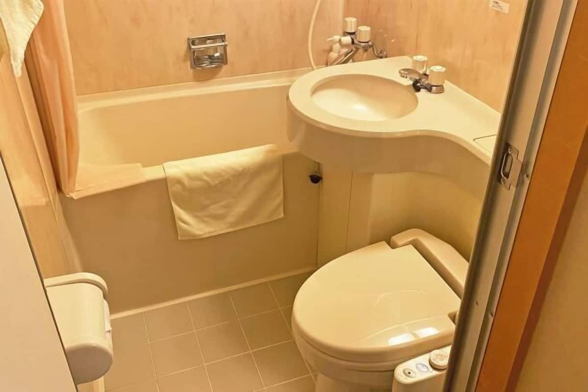 Combined shower/bathtub, free toiletries, hair dryer, slippers