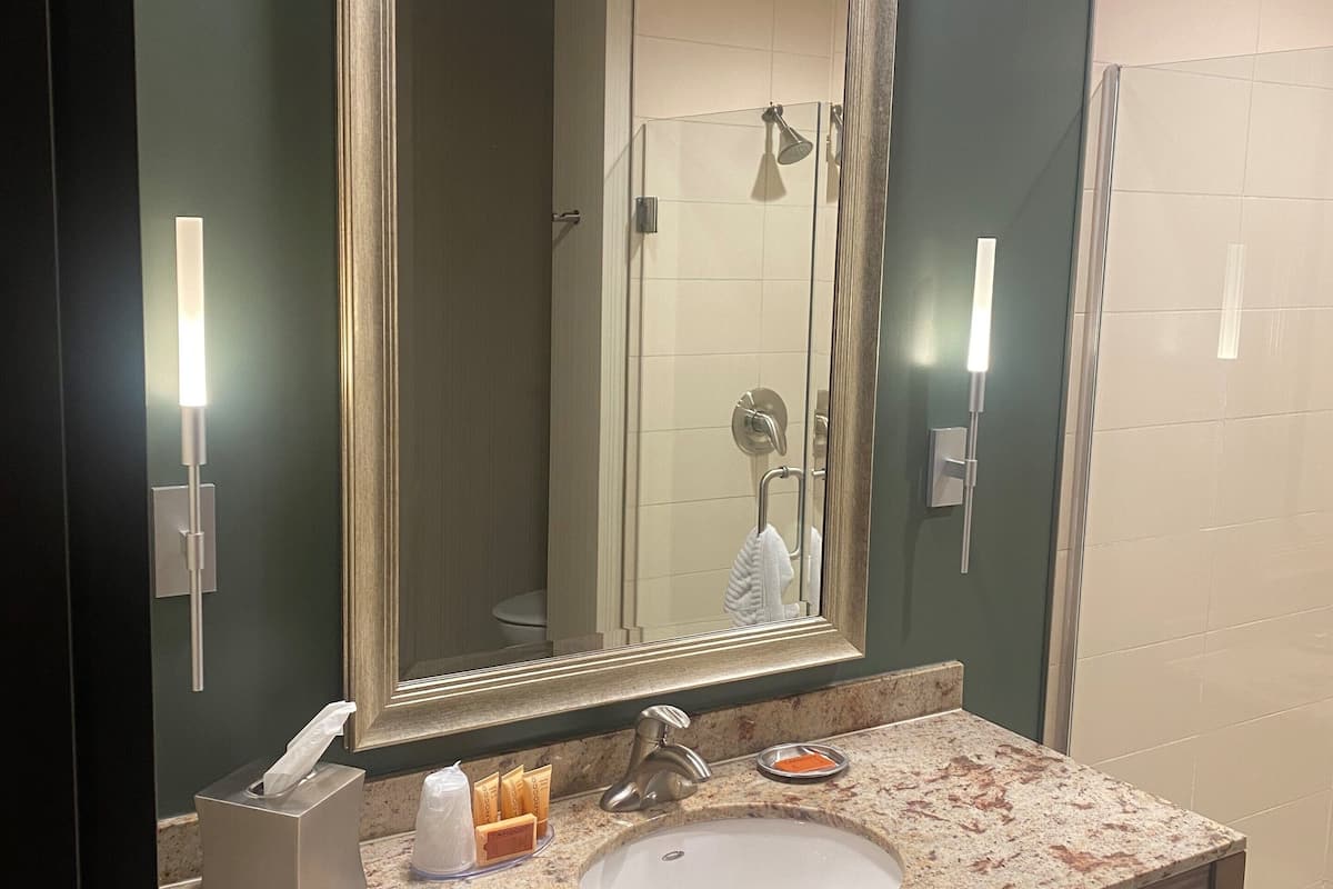 standard room, 1 king bed | bathroom | designer toiletries, hair dryer, towels