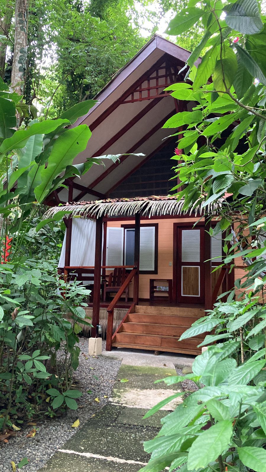 A wooden house with a thatched roof, surrounded by lush greenery.
