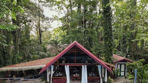 Ein Haus mit Pool, umgeben von üppiger Vegetation.