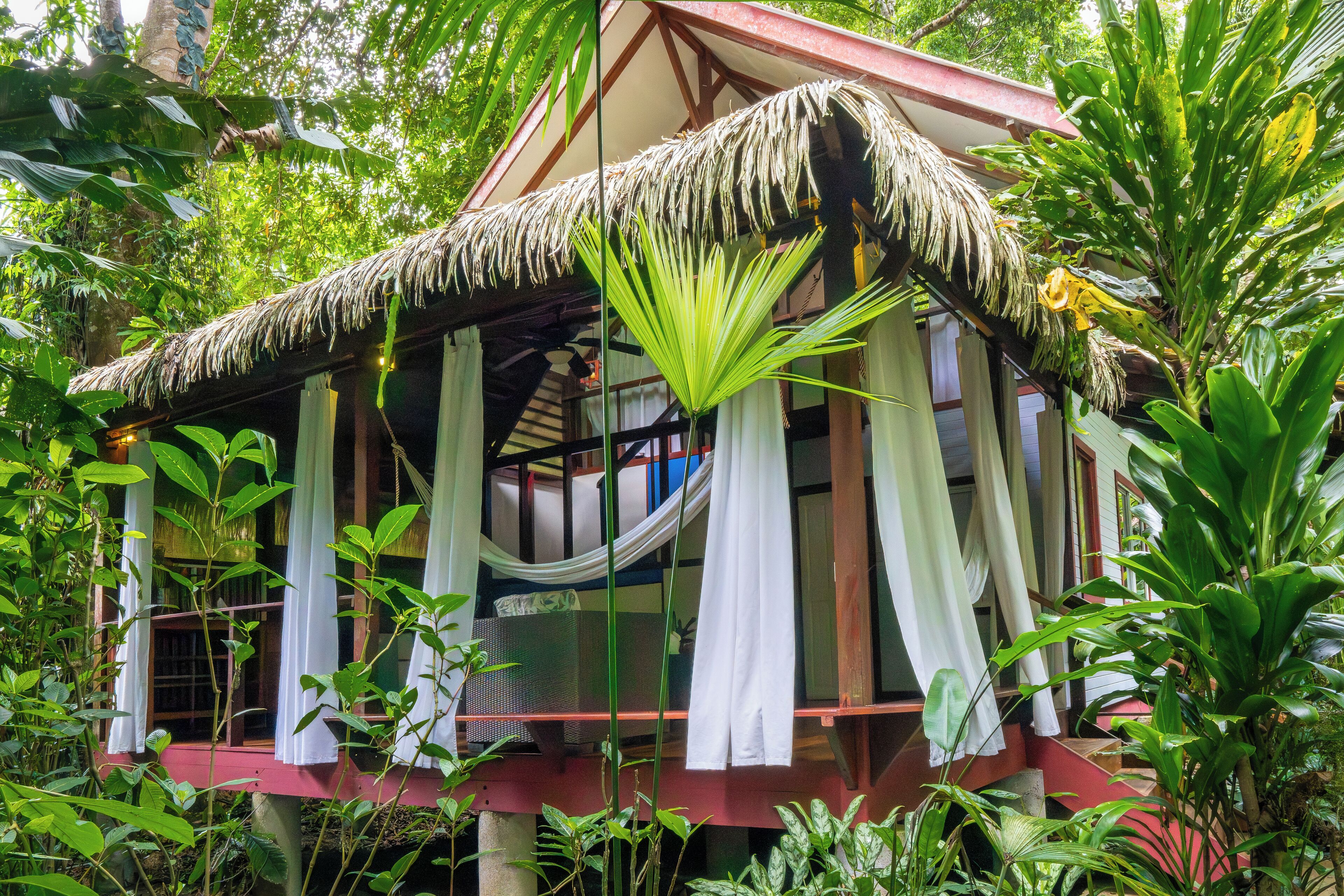 A thatched-roof structure surrounded by lush greenery, with white curtains and a hammock hanging from the ceiling.