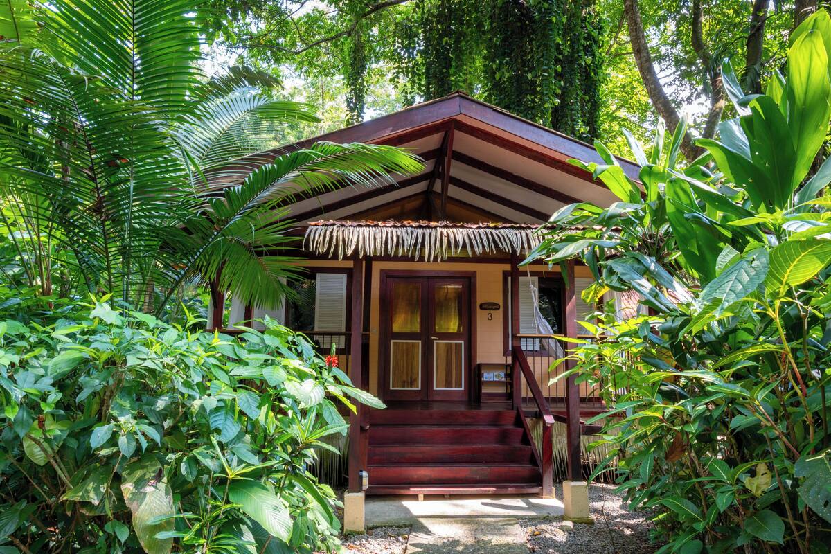 A wooden building with a thatched roof, surrounded by lush greenery.