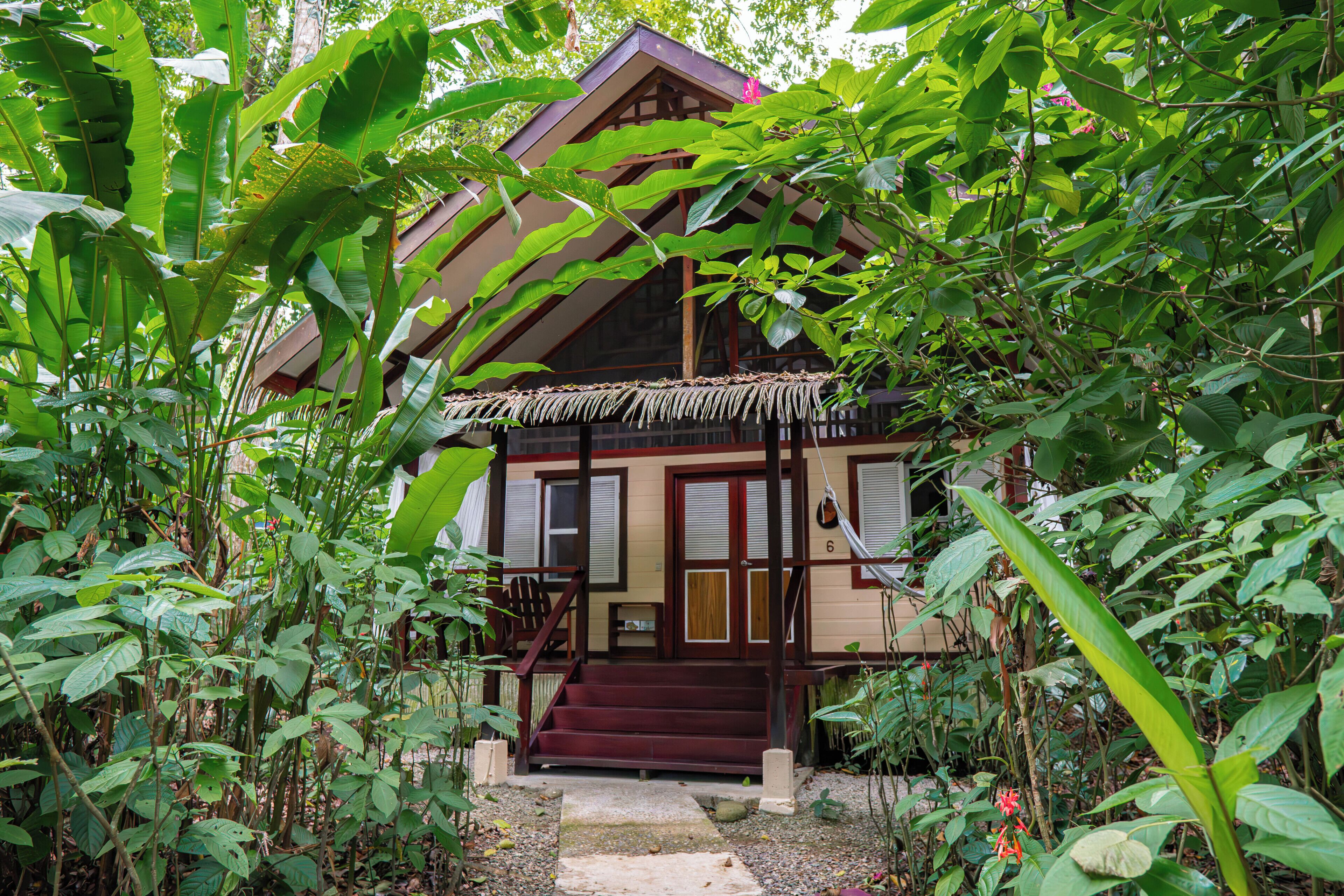 Uma casa com varanda de telhado de palha, escadas de madeira e um jardim com plantas tropicais.