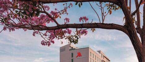 A modern building with a visible logo, surrounded by trees with pink flowers.