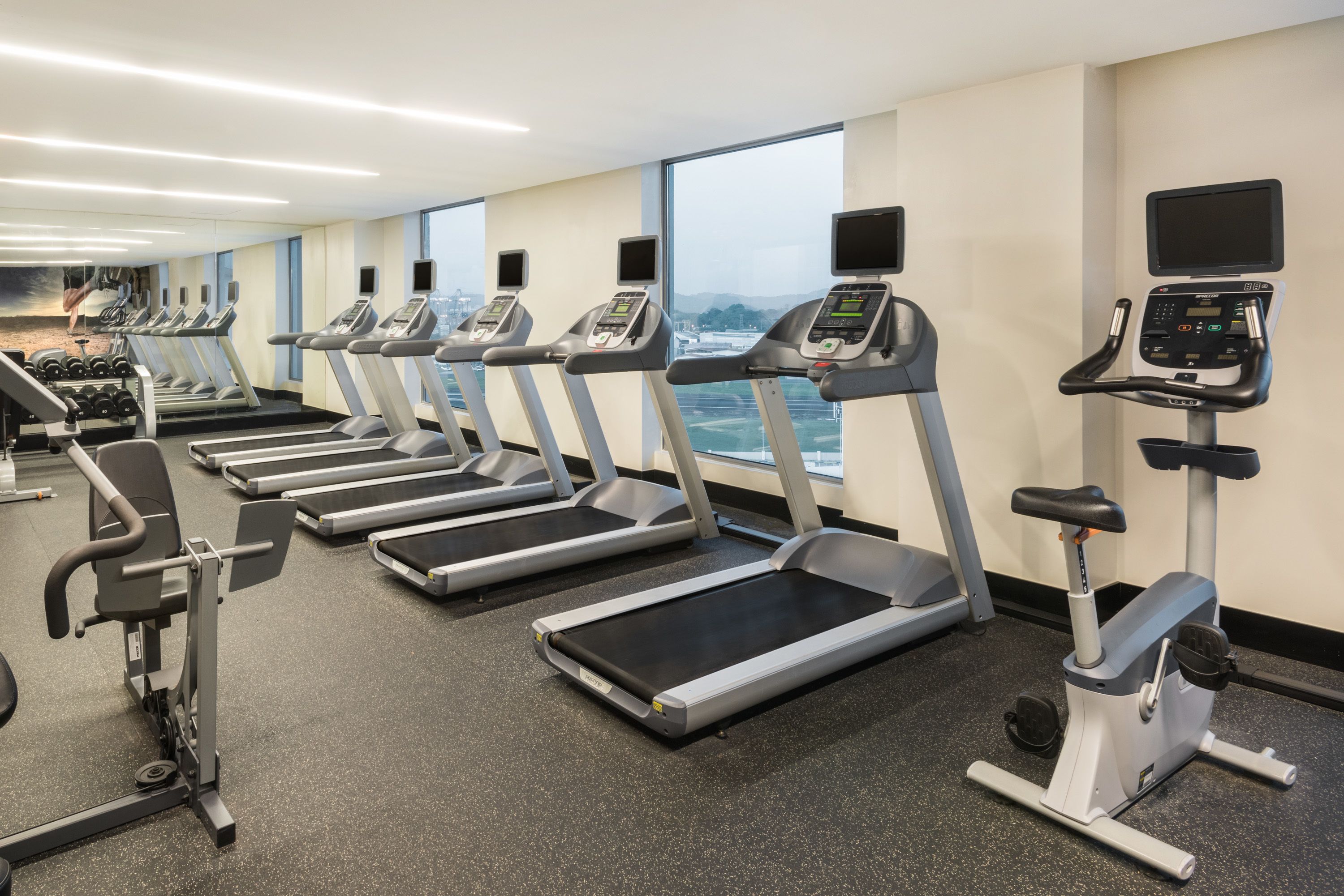 Ett gym med löpband, crosstrainers och styrketräningsmaskiner.