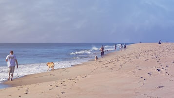 A beach with people and a dog walking along the shore.