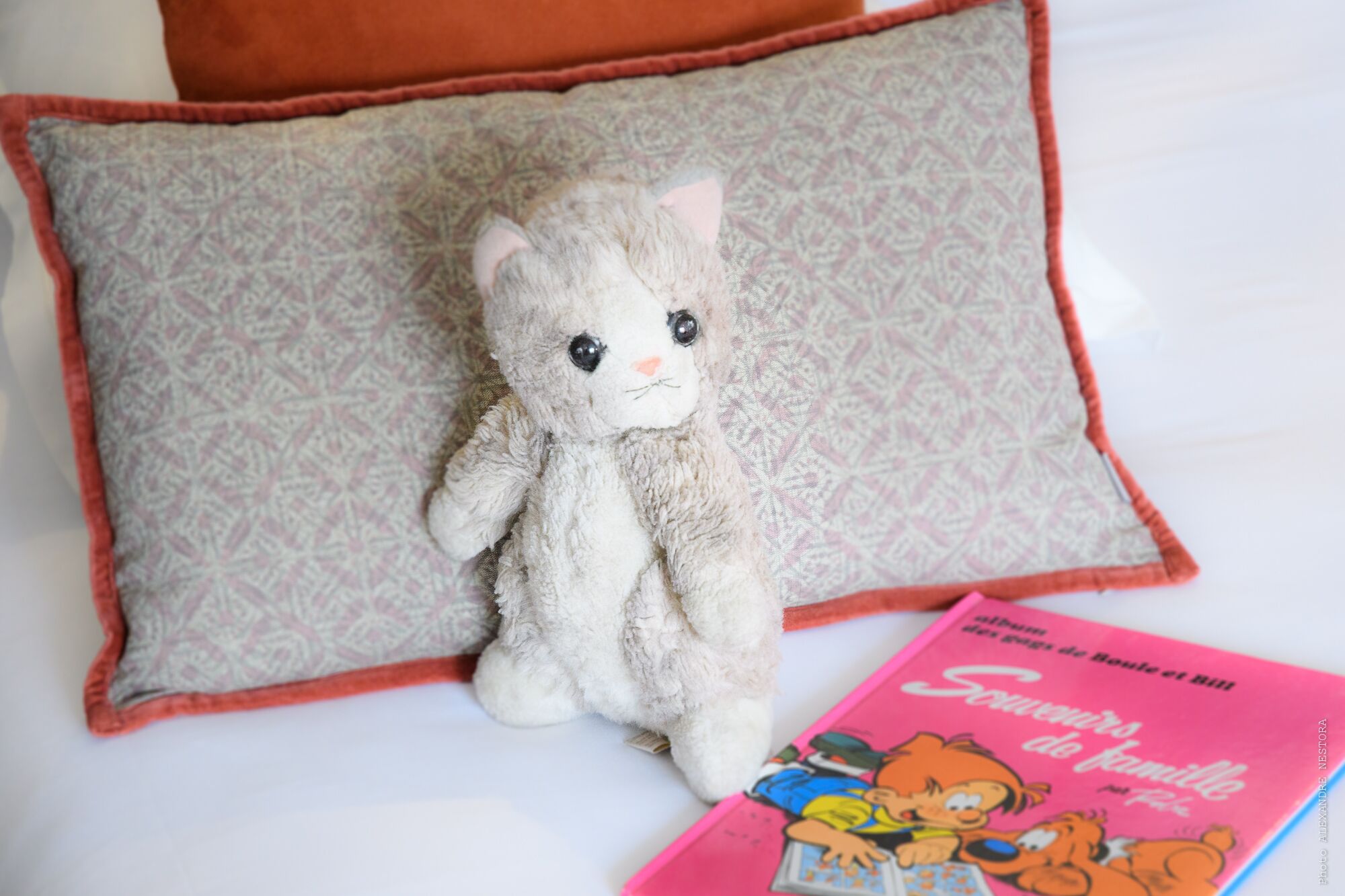 Un peluche sobre una cama con un cojín estampado y un libro titulado 'Souvenirs de famille'.