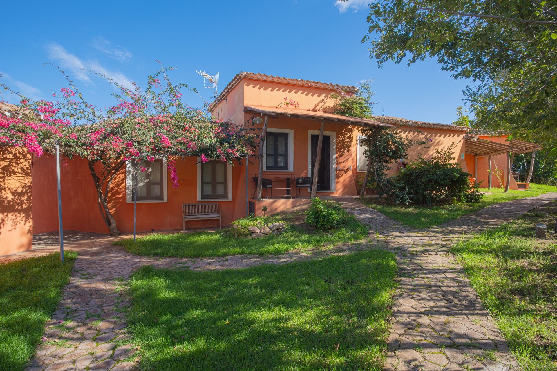 standard double room | terrace/patio