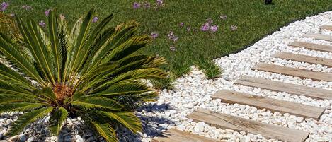 A landscaped garden with a palm tree, white pebbles, and wooden walkways.