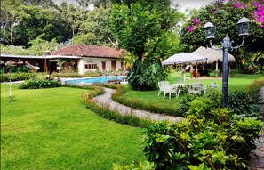 Outdoor pool, pool umbrellas, sun loungers