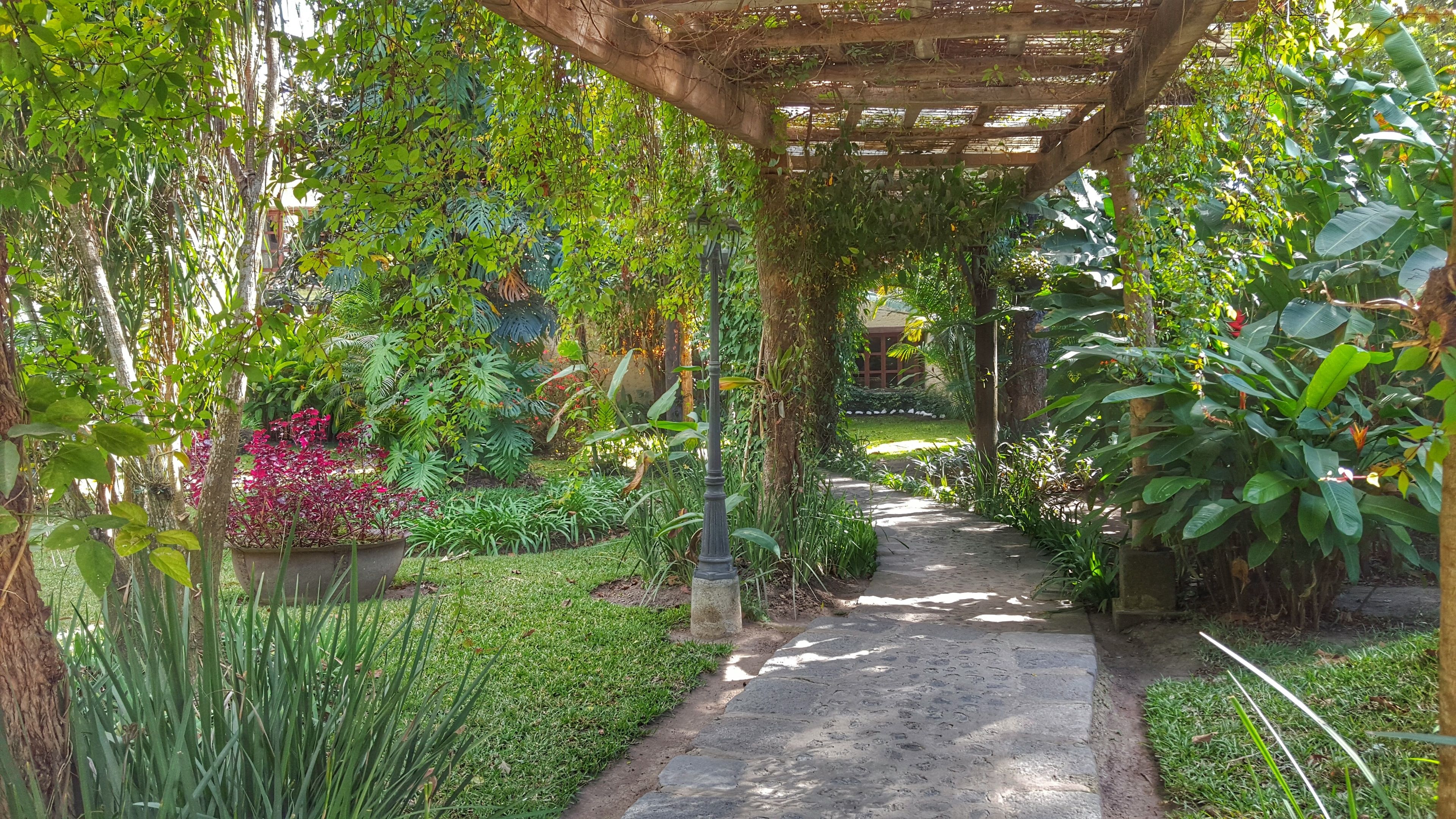 Foto - Hotel Real Plaza