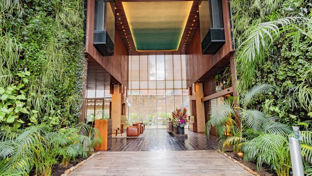 Un hall d’entrée moderne avec un plancher en bois, de grandes fenêtres et de luxuriants jardins verticaux.
