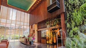 Un hall d’entrée moderne avec un plancher en bois, de grandes fenêtres, un comptoir d’accueil et des plantes d’intérieur.