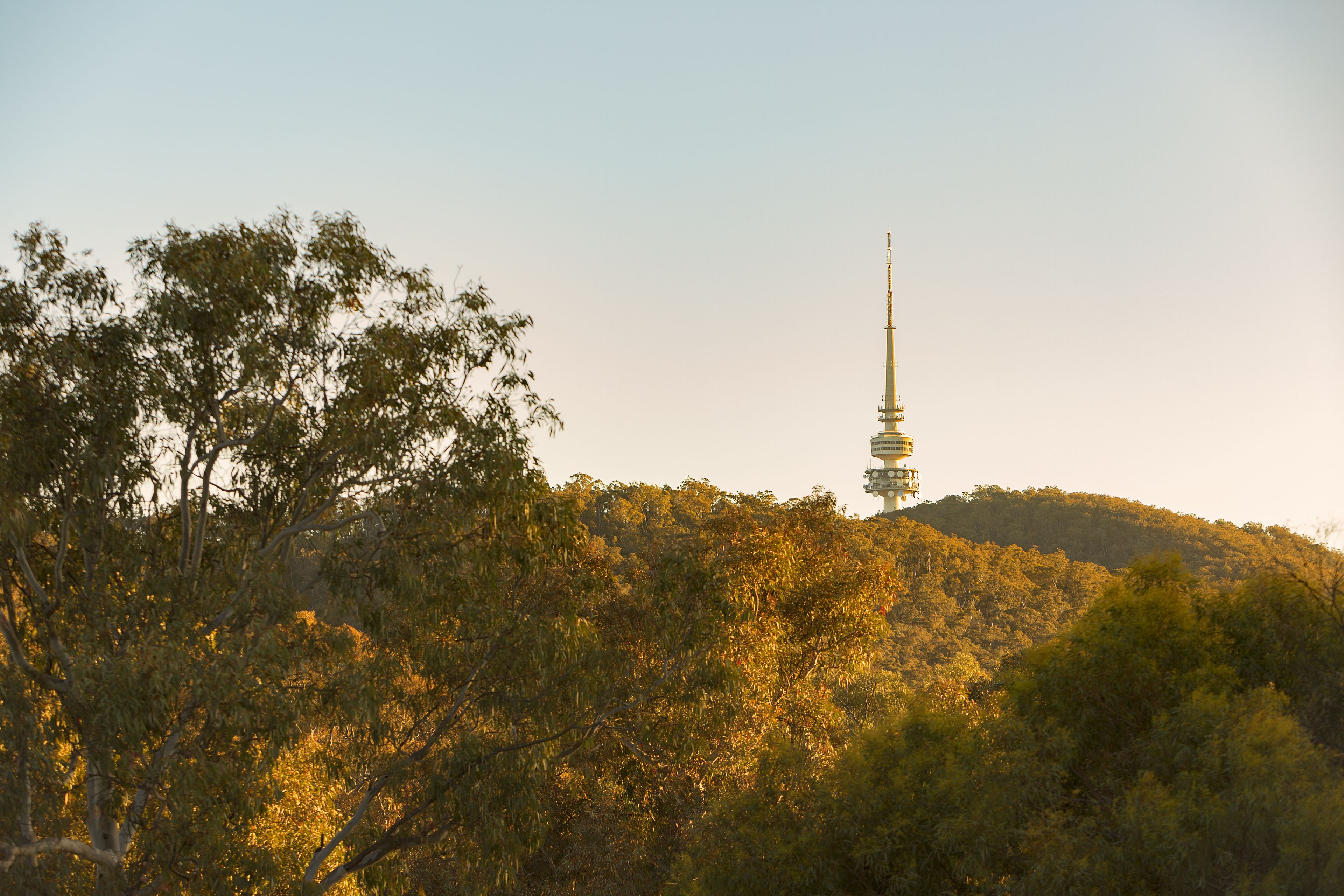 A tower amidst a forested hill.