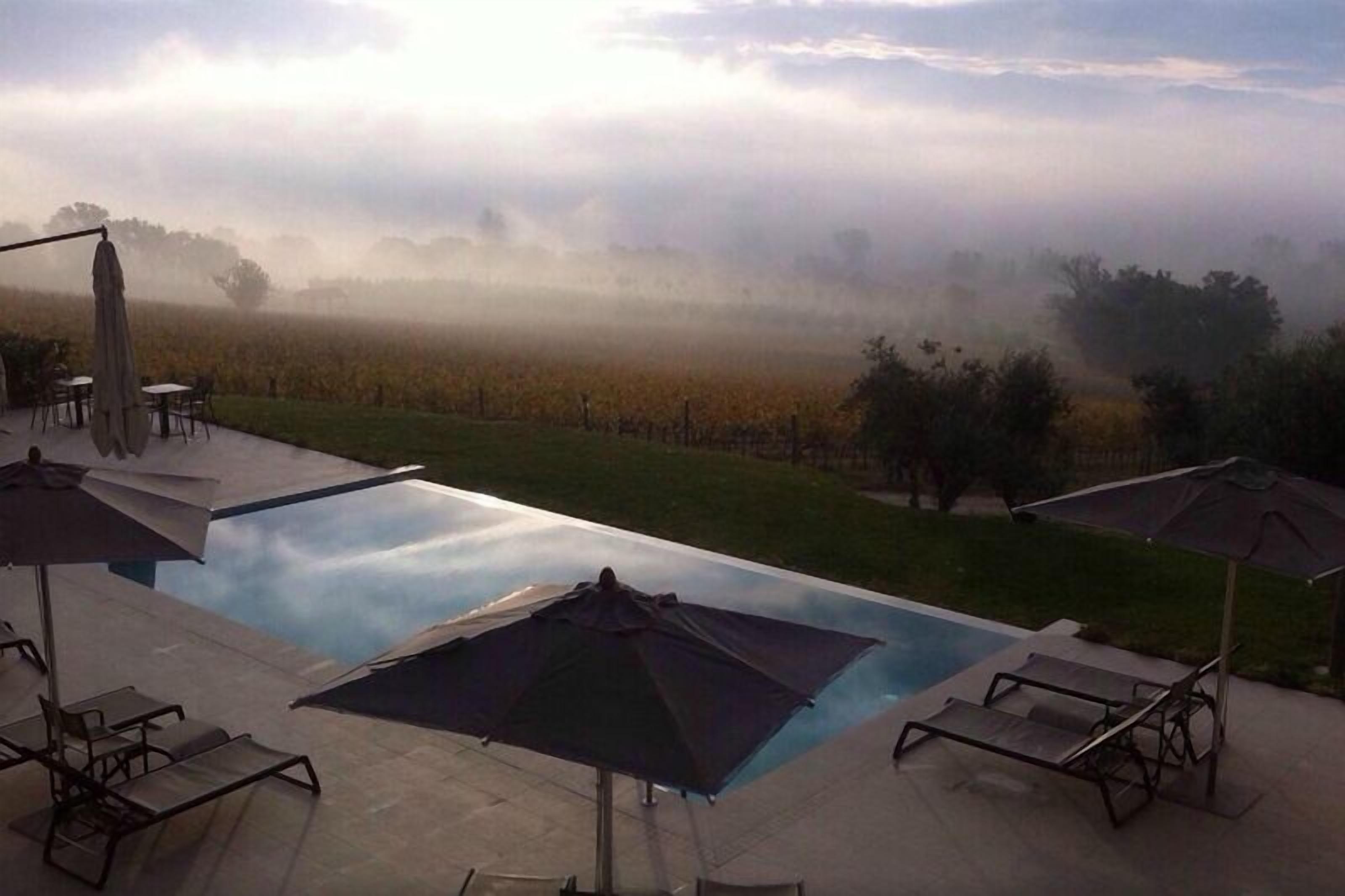 Una piscina exterior con sillas de descanso y sombrillas, rodeada por un campo brumoso y árboles.