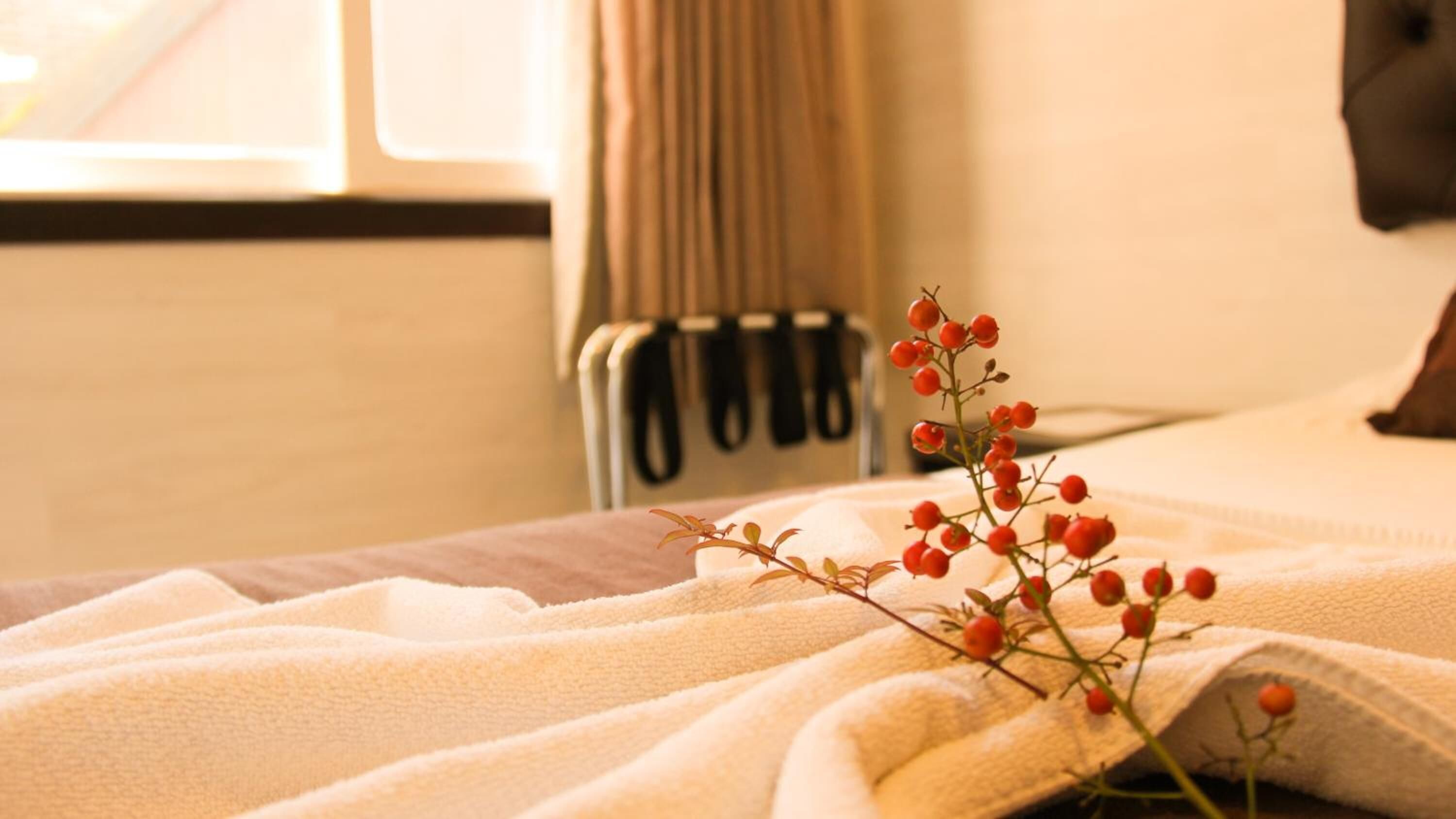 Photo - Pousada Jasmim