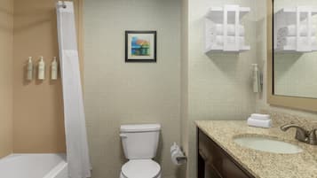 Une salle de bain équipée de toilettes, d’un lavabo et d’un rideau de douche.