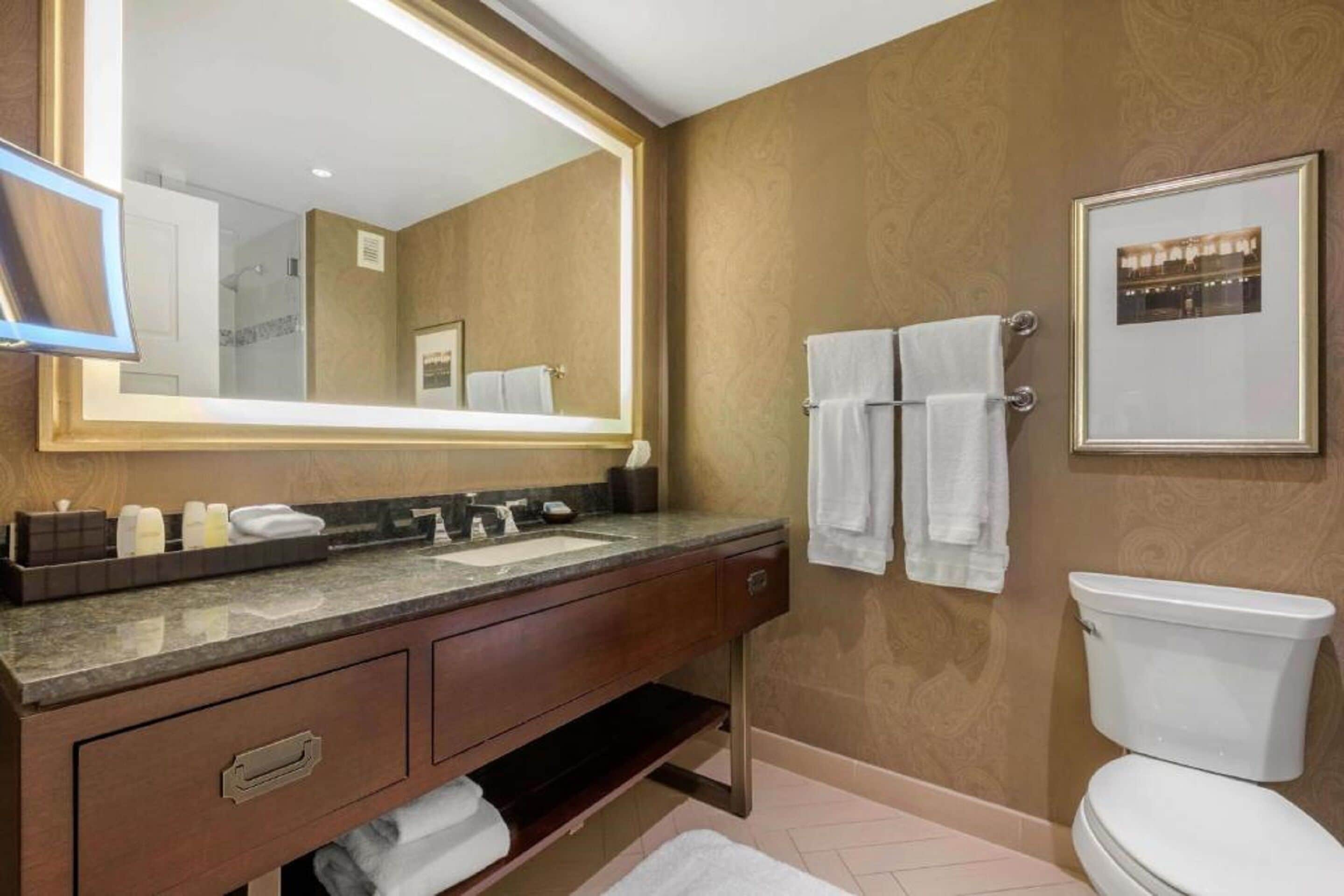 combined shower/bathtub, free toiletries, hair dryer, bathrobes