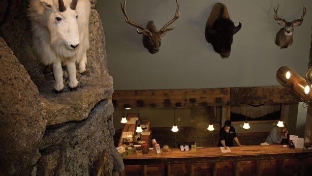 Interior de un restaurante con una formación rocosa, ciervos colgados en la pared y una barra con una persona detrás.