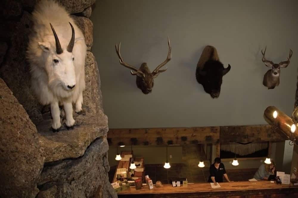 Three Bear Lodge