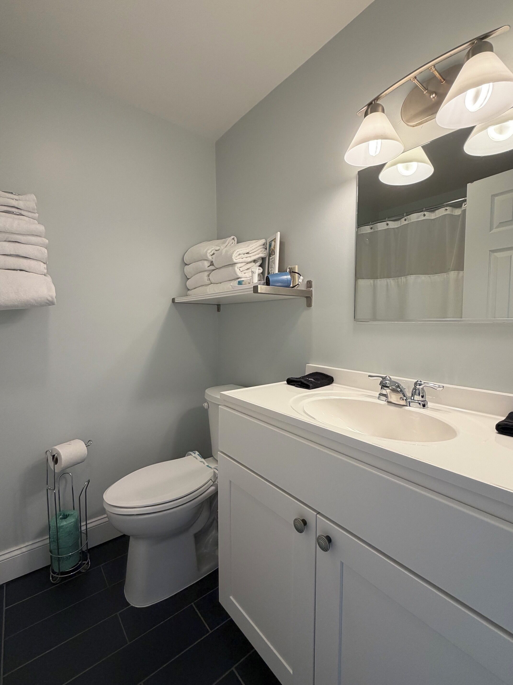 Une salle de bain équipée de toilettes, d’un lavabo, d’un porte-serviettes et d’un miroir.