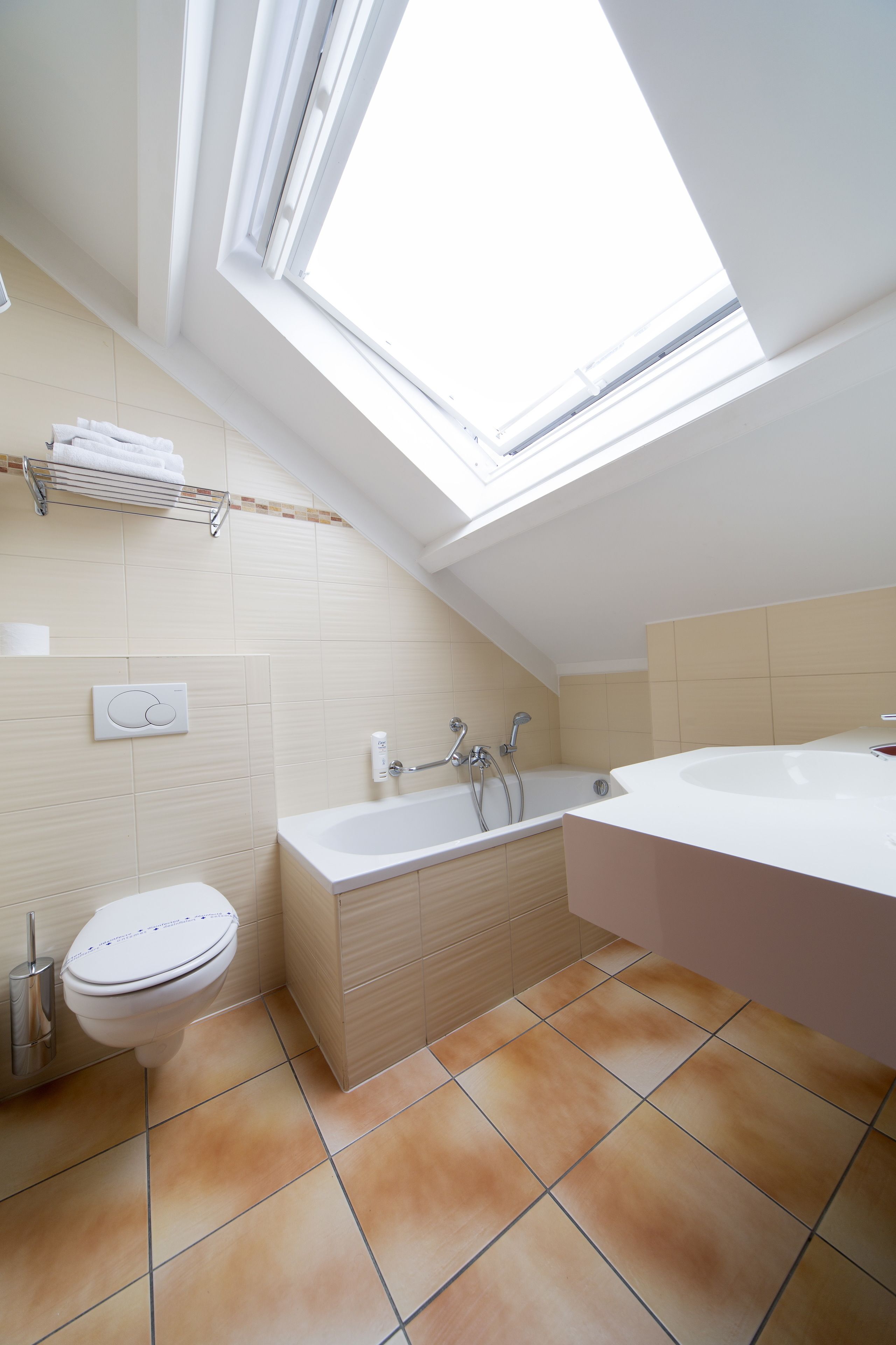 Un baño moderno con tragaluz, bañera, inodoro y ducha.