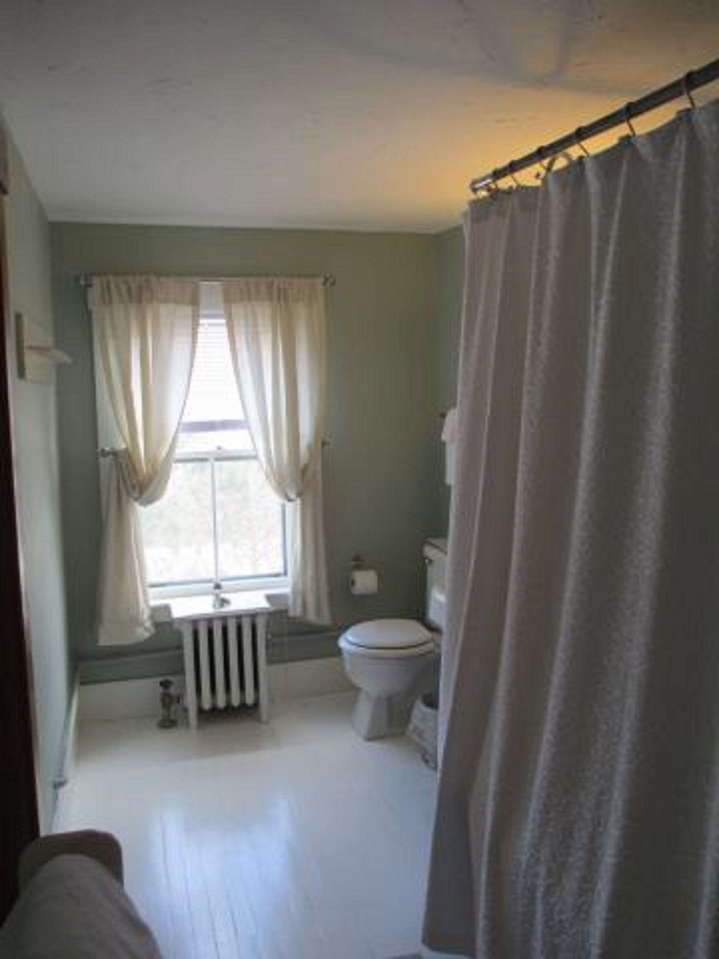 A bathroom with a toilet, a radiator, and a window with curtains.