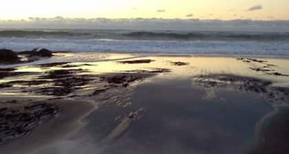 Salmonberry Inn & Beach House