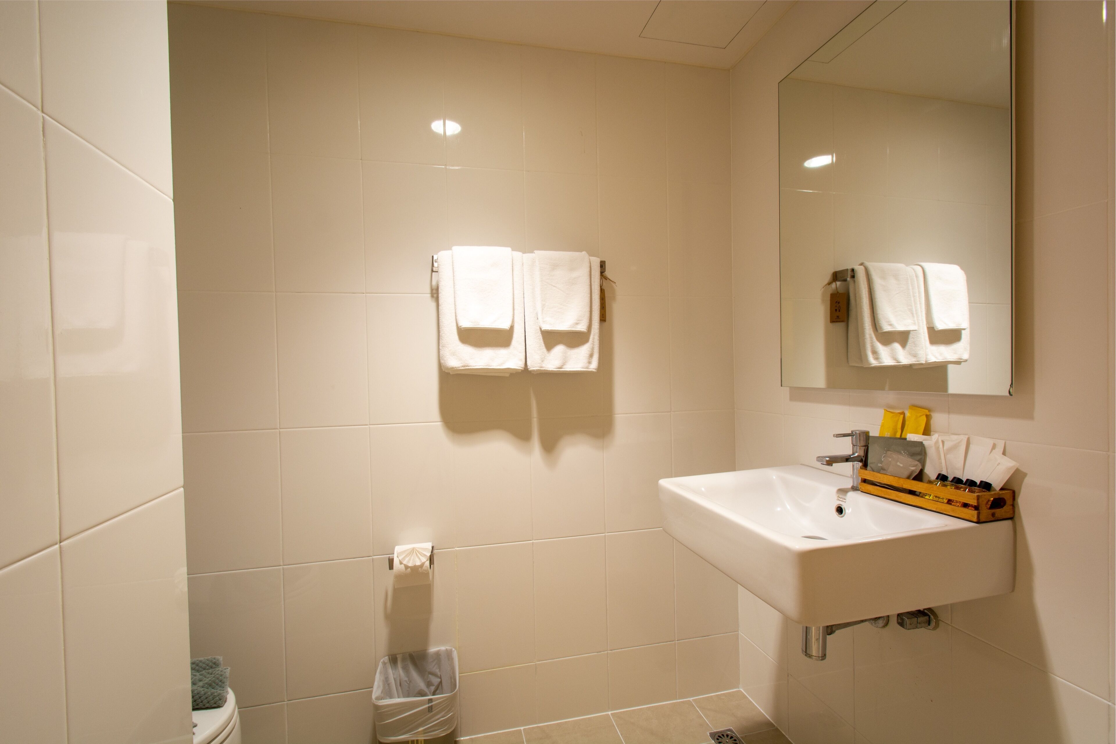 shower, hydromassage showerhead, free toiletries, hair dryer