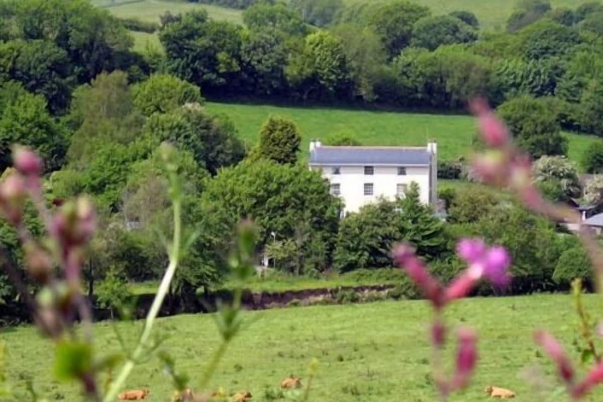A rural landscape with a white house surrounded by lush greenery and fields.