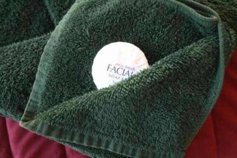 Heemskirk Motor Hotel by null