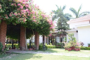 Aerial view - Naturoville Ayurvedic and Yoga Retreat by OpenSky (Rishikesh)