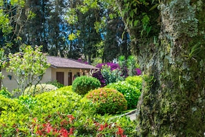 经济木屋, 1 间卧室, 花园 | 客房景观